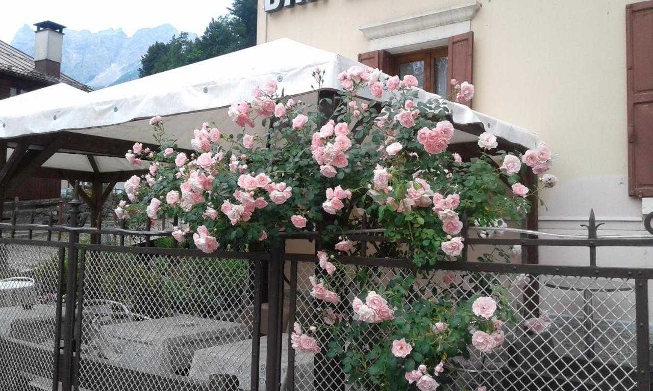 Hotel Brustolon Dont Экстерьер фото