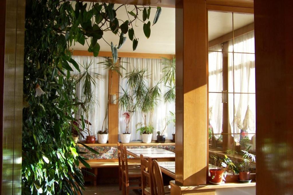 Hotel Brustolon Dont Экстерьер фото
